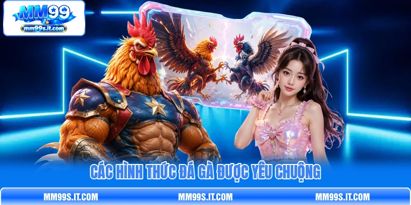 Các hình thức đá gà được yêu chuộng