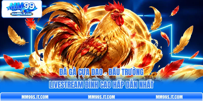 Đá Gà Cựa Dao - Đấu Trường Livestream Đỉnh Cao Hấp Dẫn Nhất