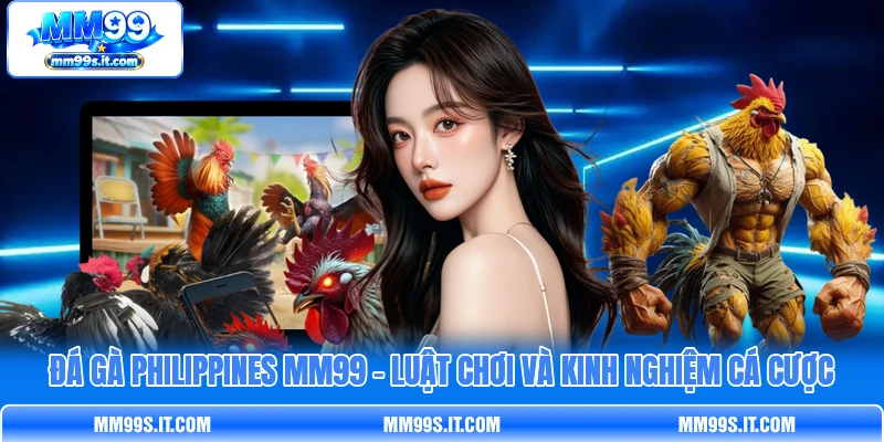 Đá Gà Philippines MM99 - Luật Chơi Và Kinh Nghiệm Cá Cược