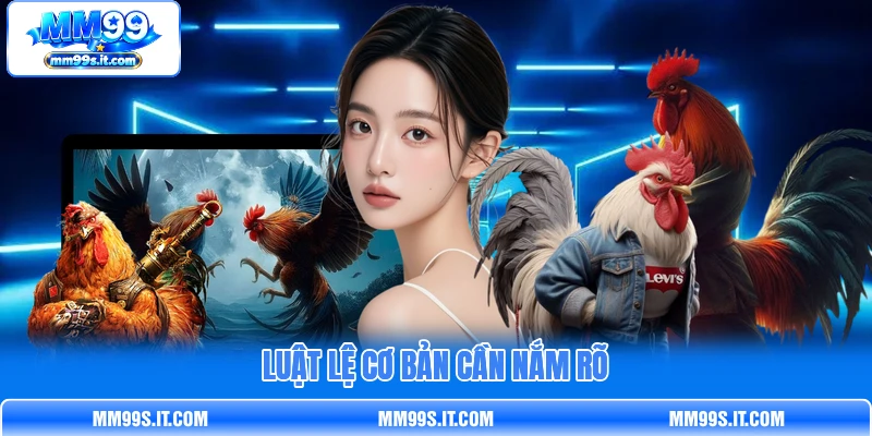 Luật lệ cơ bản cần nắm rõ