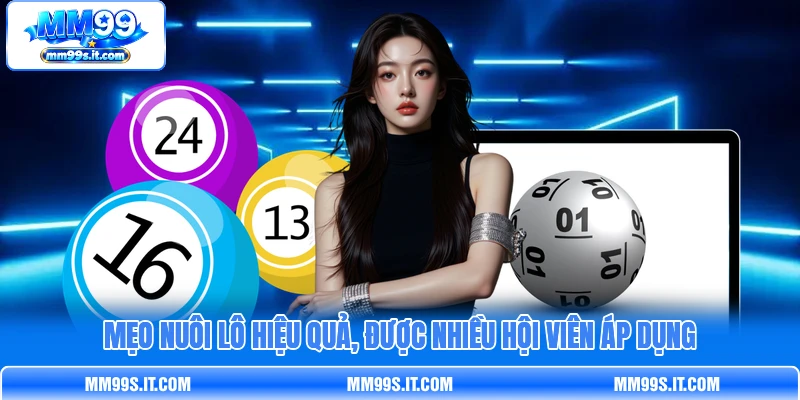 Mẹo nuôi lô hiệu quả, được nhiều hội viên áp dụng