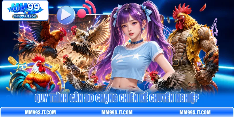 Quy trình cân đo chạng chiến kê chuyên nghiệp