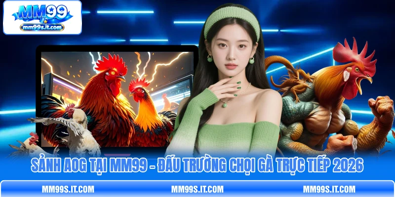 Sảnh AOG Tại MM99 - Đấu Trường Chọi Gà Trực Tiếp 2026