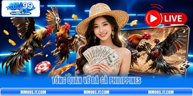 Tổng quan về đá gà Philippines