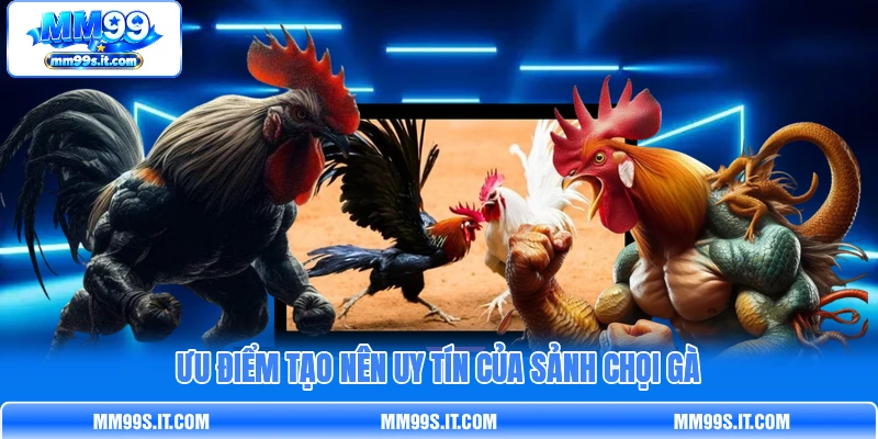 Ưu điểm tạo nên uy tín của sảnh chọi gà